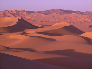 desert field, landscape, desert HD wallpaper