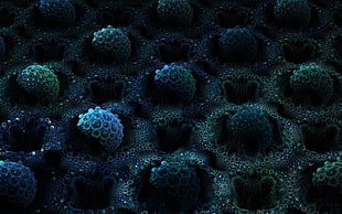 blue and black sea creatures HD wallpaper