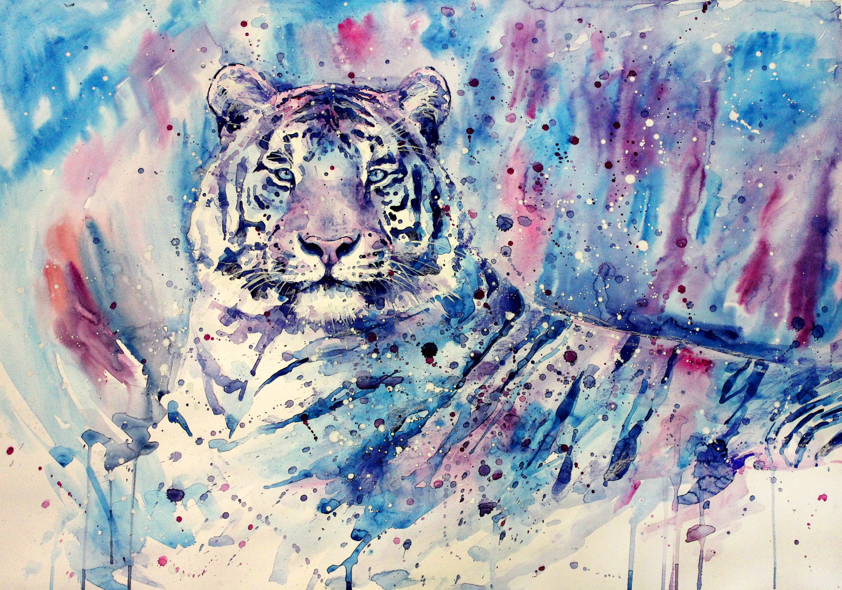 tiger painting, white tigers, tiger, artwork, painting