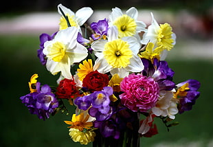 photography of assorted flowers bouquet HD wallpaper