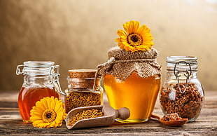 sunflower and honey canister photo HD wallpaper