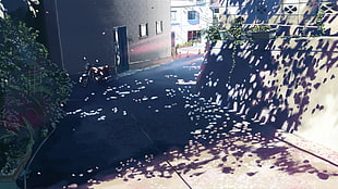gray concrete road, 5 Centimeters Per Second, anime, Makoto Shinkai , sunlight