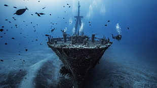 gray underwater boat, sea, ship, shipwreck, water