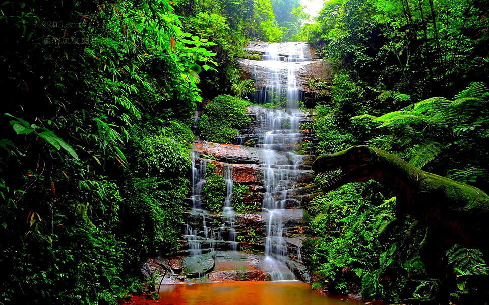 waterfall beside green plants photography HD wallpaper