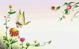 butterfly on flower digital wallpaper
