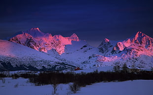 mountain wallpaper, sunlight, snow, winter, mountains