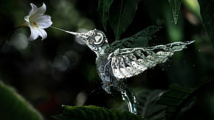 clear glass bird figurine near white flower