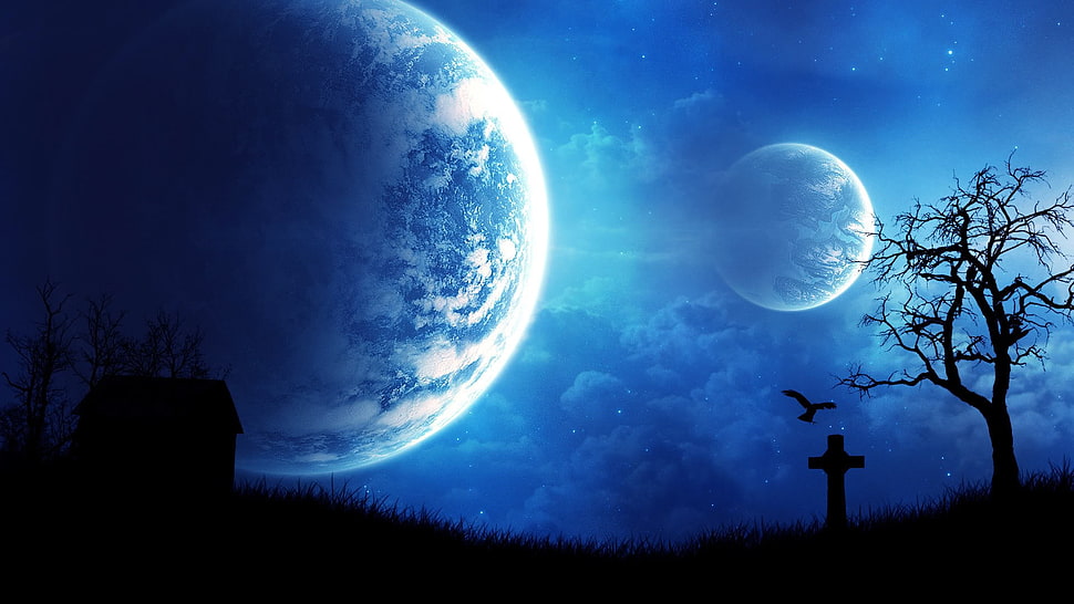 moon and withered tree wallpaper, planet HD wallpaper