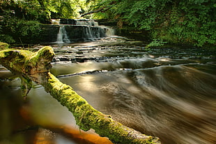landscape photo of cascading waterfalls, dalry HD wallpaper