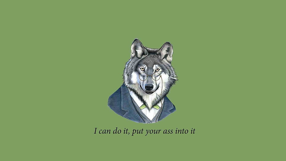 wolf illustration, quote HD wallpaper