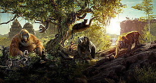 Jungle book movie scene HD wallpaper