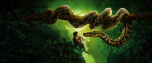 Jungle Book movie wallpaper HD wallpaper