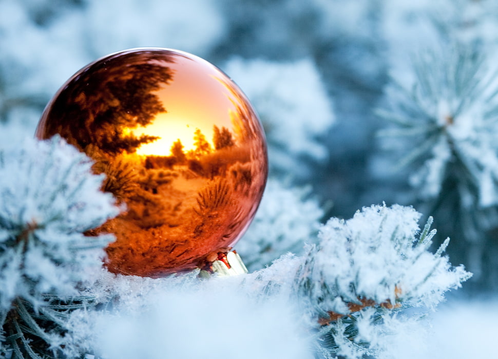orange bauble on pine tree filled with snow HD wallpaper