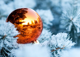 orange bauble on pine tree filled with snow
