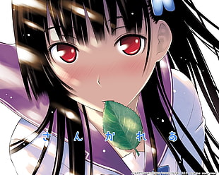 Female Anime Character illustration HD wallpaper