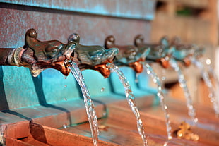 shallow focus photography of silver dragon faucets