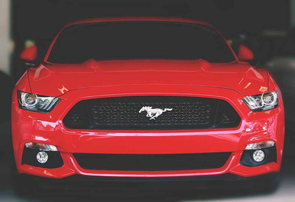 red Ford Mustang car HD wallpaper