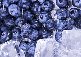 blue Burberry fruits