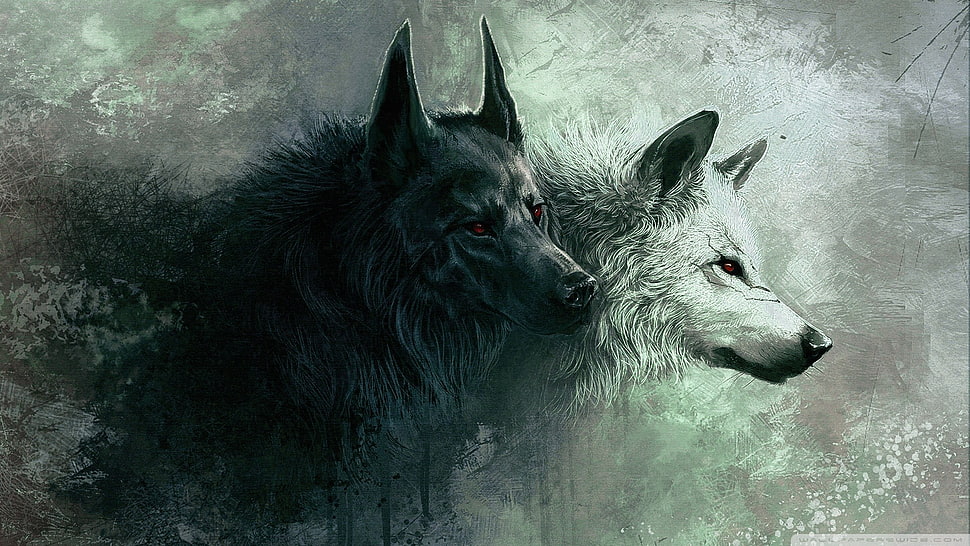 two black and white wolves painting, wolf, animals HD wallpaper