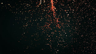 red scattered water