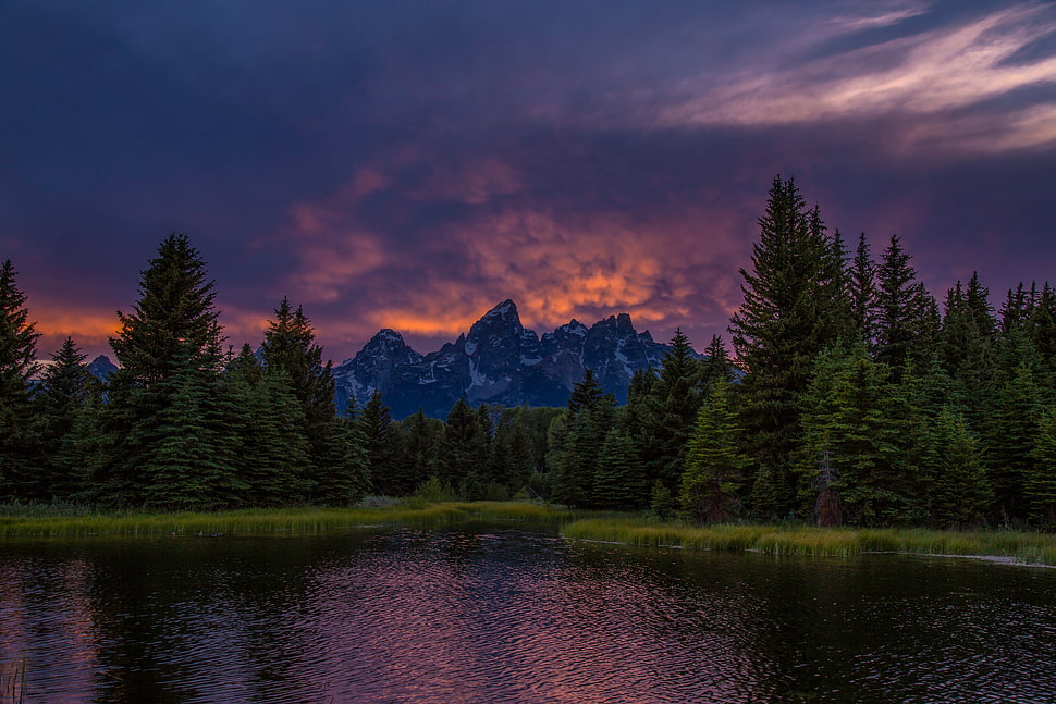 green tree lot, Mountains, Lake, Sunset HD wallpaper