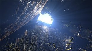 green grass, Ark: Survival Evolved, sunrise HD wallpaper