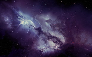 purple and black galaxy