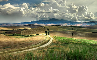 green grass field photo, Tuscany, sky, clouds, Italy