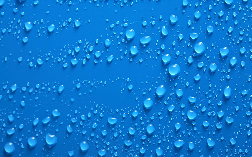 closeup photo of dew HD wallpaper