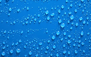 closeup photo of dew