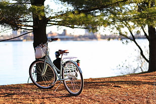 white cruiser bicycle, Bicycle, Autumn, Trees