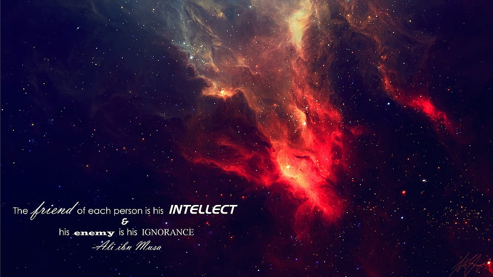red cosmos with text overlay, Ali ibn Musa, Imam, Islam, quote HD wallpaper