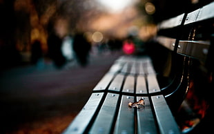 brown metal bench, bench, depth of field, photography