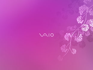 pink and white floral textile, pink, Sony, VAIO