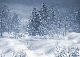 snow field, winter, artwork, snow, nature