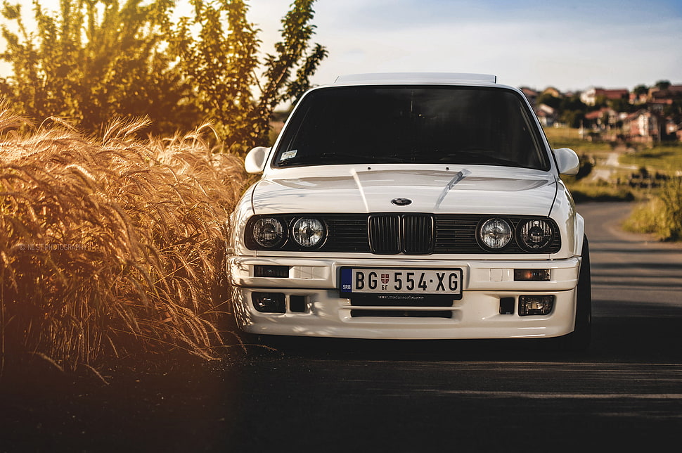 white SUV HD wallpaper
