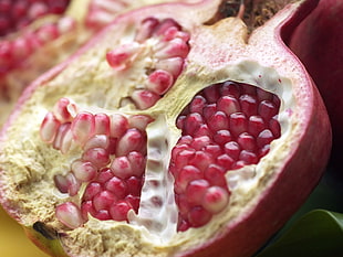 pomegranate fruit HD wallpaper