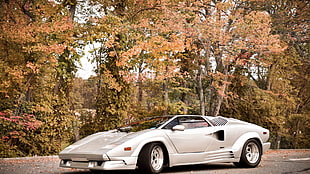 silver luxury car, Lamborghini Countach, car