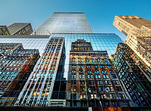 assorted buildings, building, mirror, window, skyscraper