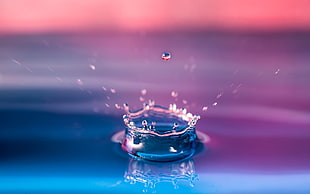 still life photo of drop of water