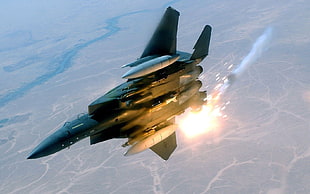 gray jet fighter, aircraft, McDonnell Douglas F-15E Strike Eagle