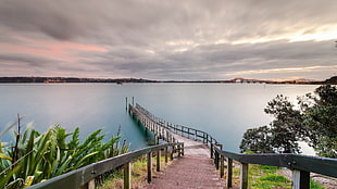 beige wooden dock, nature, road, Auckland