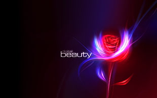 digital beauty wallpaper, rose, digital art, flowers