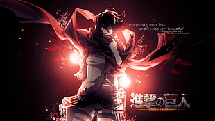 anime, Shingeki no Kyojin, Mikasa Ackerman, anime girls HD wallpaper