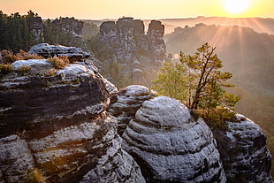 gray and black huge rock beside forest during sun rise