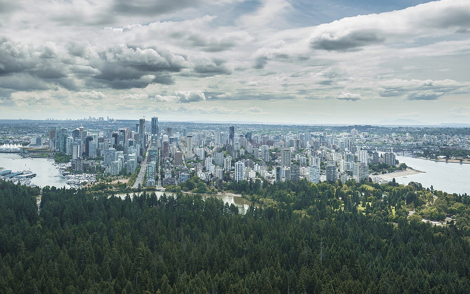 aerial photography of city building, city, cityscape, forest, trees HD wallpaper