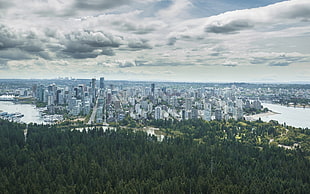 aerial photography of city building, city, cityscape, forest, trees