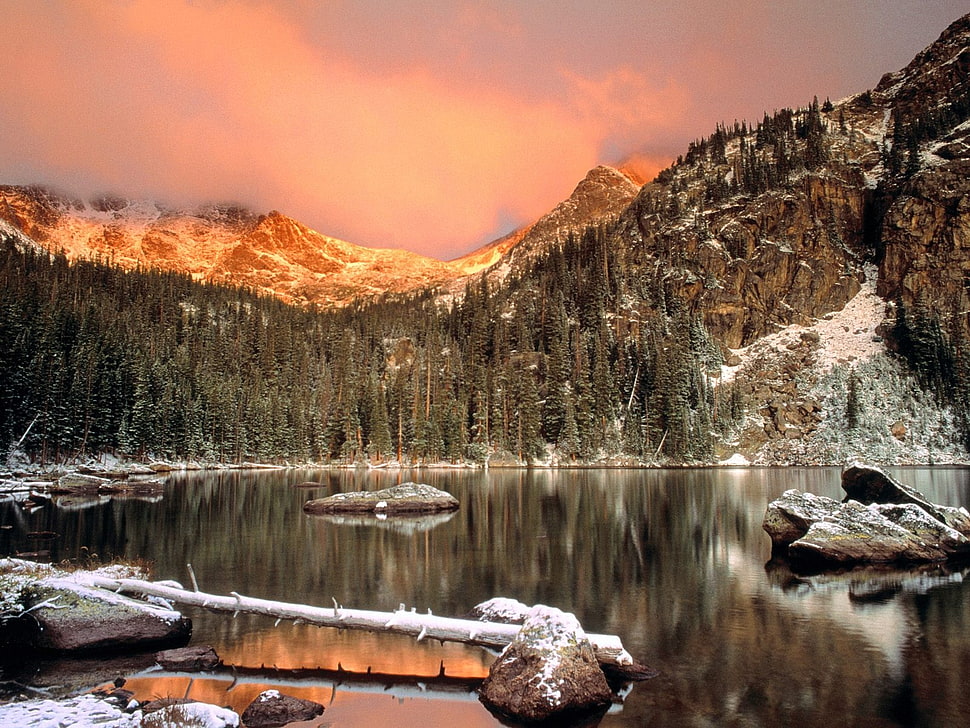 Lake,  Colorado,  Stones,  Log HD wallpaper