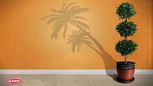 green leafed plant wallpaper, artwork, commercial, plants