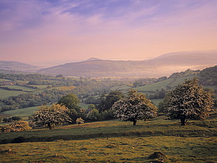 landscape photo of green valley HD wallpaper